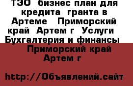 ТЭО, бизнес-план для кредита, гранта в Артеме - Приморский край, Артем г. Услуги » Бухгалтерия и финансы   . Приморский край,Артем г.